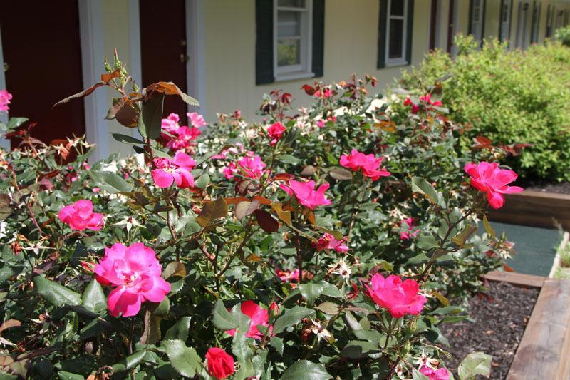 Lodge At Kennebunk Ngoại thất bức ảnh